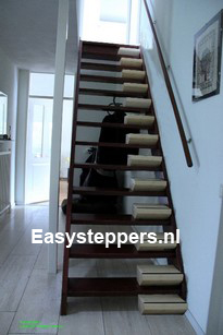 easysteppers, trap, traplift, vitaal, thuiswonen, opplussen, wmo